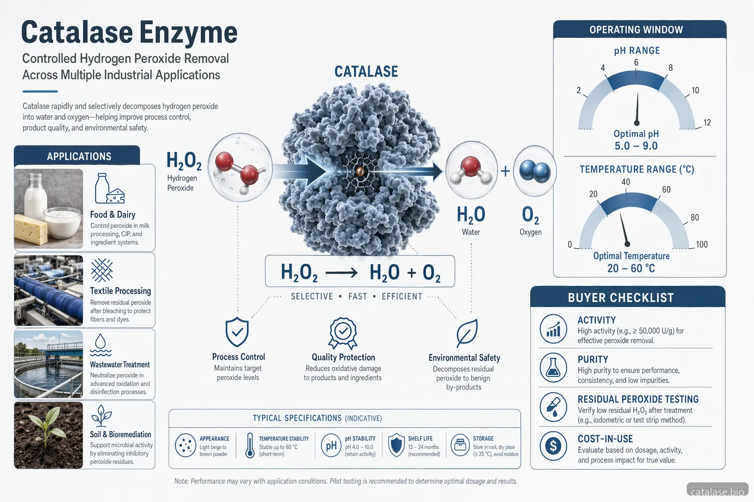 catalase enzyme: application in bioremediation and food industry إنفوجرافيك يوضح إزالة peroxide، نطاقات التشغيل، وفحوصات الشراء
