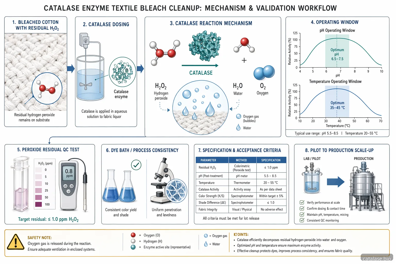 مخطط catalase enzyme لإزالة بقايا التبييض في النسيج يوضح تفكك H2O2، نافذة pH ودرجة الحرارة، والتحقق من الجودة