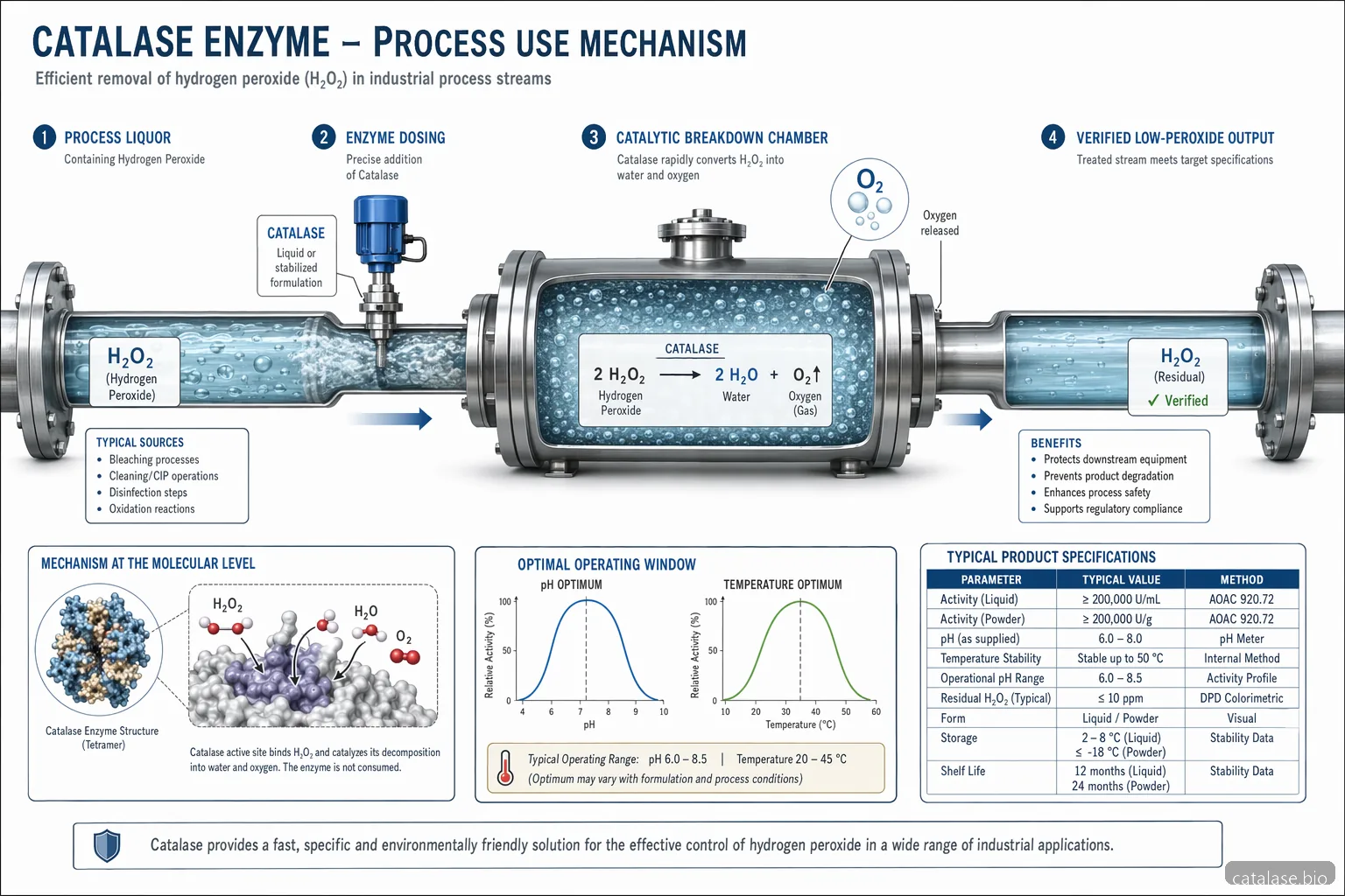 Produktion af catalase enzyme til industrielle anvendelser, procesdiagram med nedbrydning af hydrogen peroxide under kontrollerede forhold