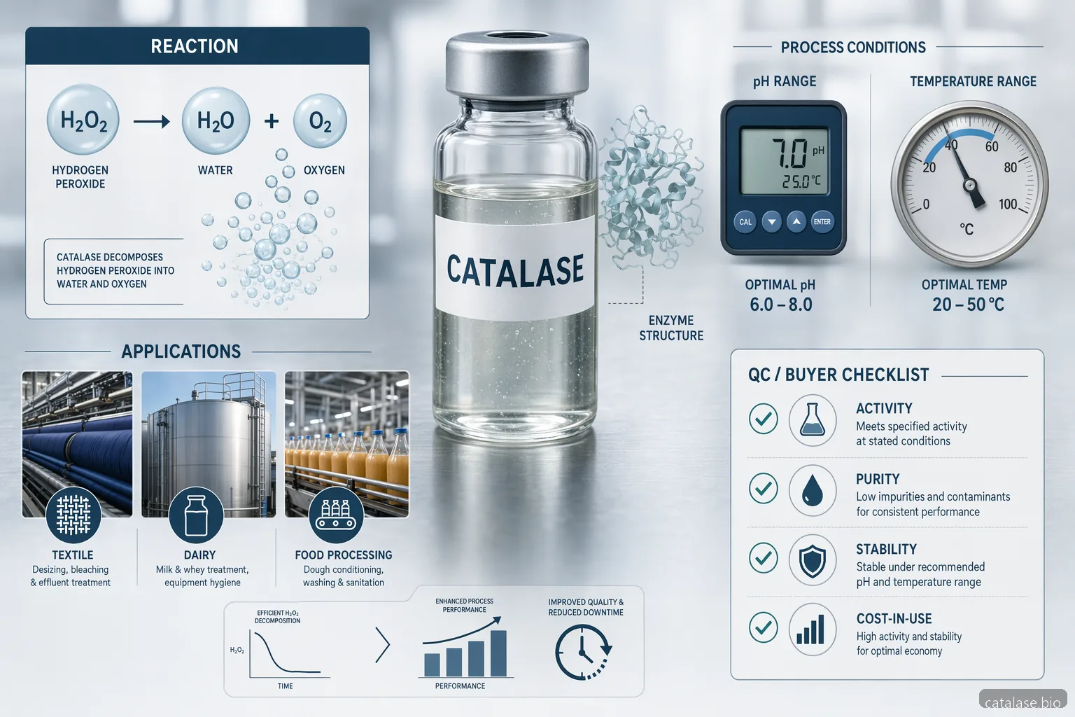 Produktion af catalase enzyme til industrielle anvendelser, infografik med peroxidfjernelse, QC-tjek og sektoranvendelser