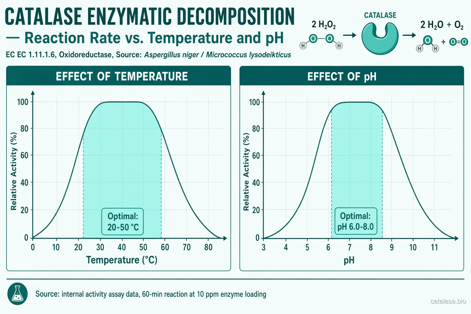 Catalase reaction rate vs temperature and pH — bell curves with optimal zones shaded